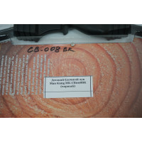 Детский блочный лук Man Kung MK-CB008, 4,5 кг, 84 см (черный) Детский блочный лук Man Kung MK-CB008, 4,5 кг, 84 см (черный)